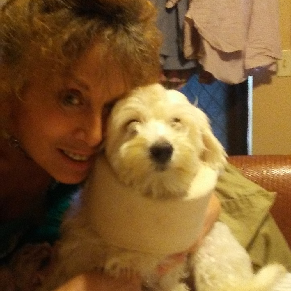 Meet your Posher, Sharon